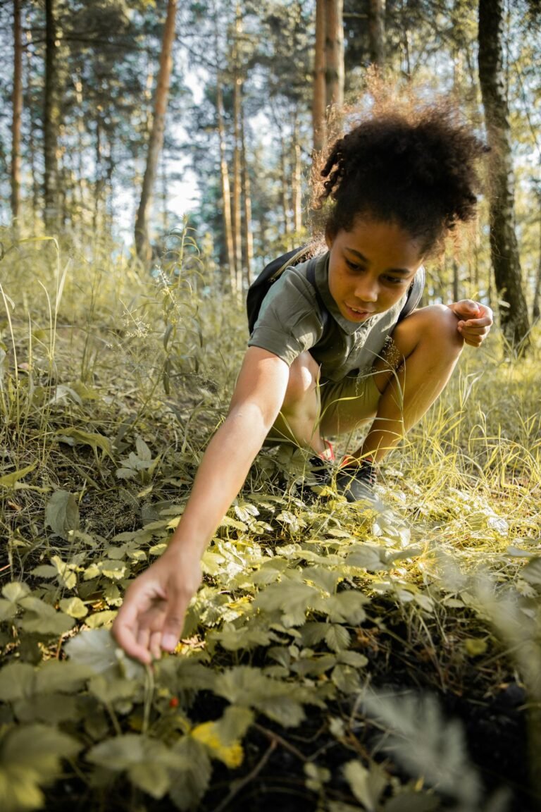 A young girl crouches in a forest, discovering plants in the sunlight.